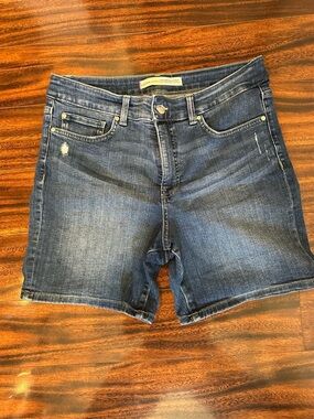 Denver Hayes | High Rise Mid Length Denim Shorts